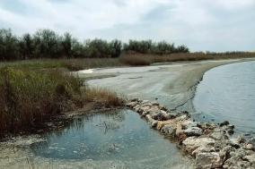 Ко Дню эколога:  о простом и важном