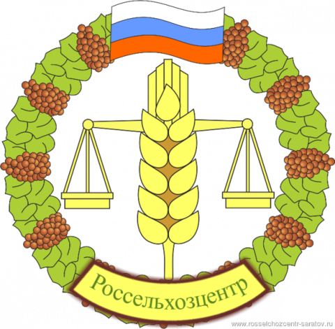 Как бороться с серой гнилью подсолнечника