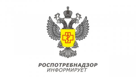 Рождественский стол:  какие блюда должны стоять на столе.